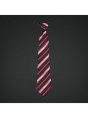 Boys 8/10 Zippered Pre-tied Neck Tie